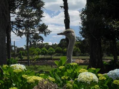 Hotel Fazenda Pampas