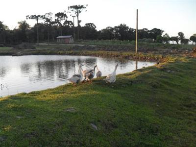 Hotel Fazenda Pampas