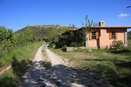 Black Tree Cottages