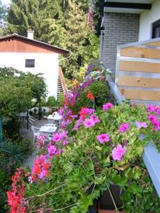 Pension Waldesruh Velden