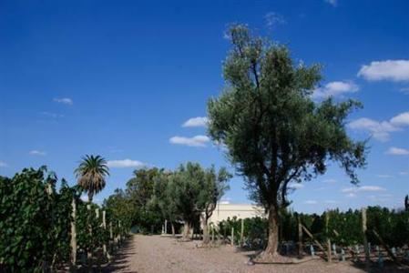 Alto Chacras Lodge