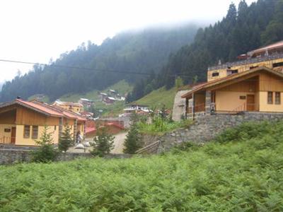 Ayder Hasimoglu Hotel Rize