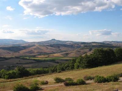 L'Albero Bianco