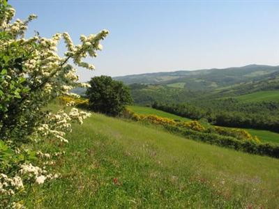 L'Albero Bianco