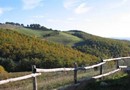 L'Albero Bianco