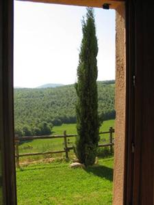 L'Albero Bianco