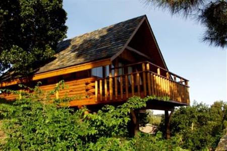 Abalone Lodges