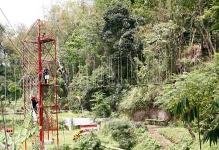 Kampung Lumbung