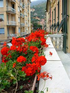 Hotel Stella Maris Levanto