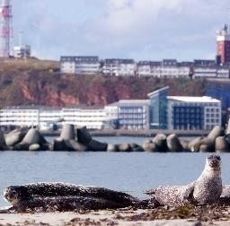 Atoll Ocean Resort Helgoland