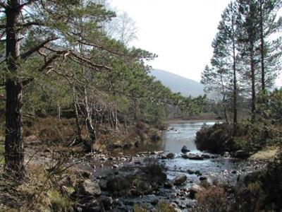 High Range Hotel Aviemore