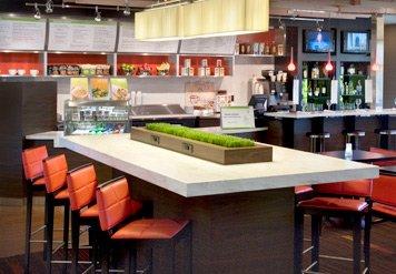 Courtyard by Marriott Detroit Brighton