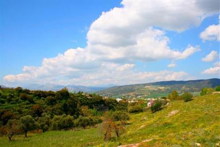 Residencial La Carpia