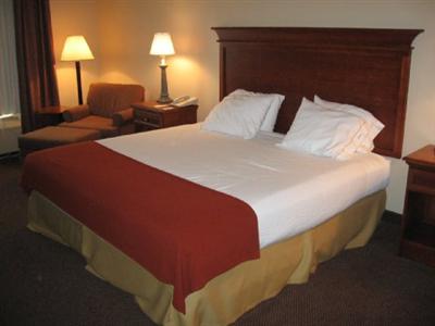 Holiday Inn Express Hotel And Suites Sulphur