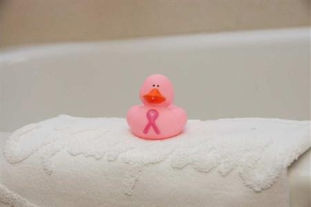 Hampton Inn Joliet I-55