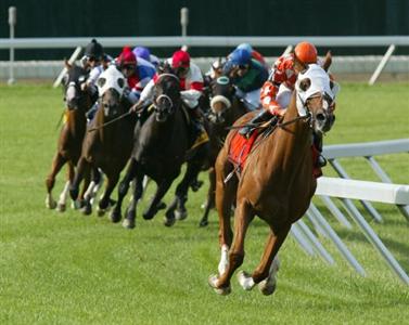 Holiday Inn Express Neptune