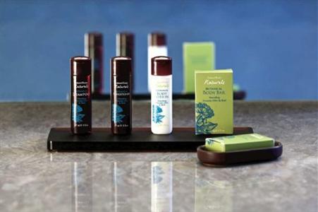 Embassy Suites Baltimore BWI Airport Linthicum