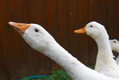 Regenbogenhof Rudelswalde