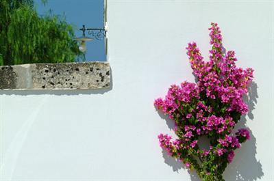 Albergo Masseria L'Ovile Hotel Ostuni