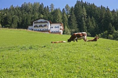 Der Hahnbaum Boutique Hotel St. Johann im Pongau