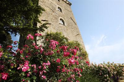 Torre Almonte