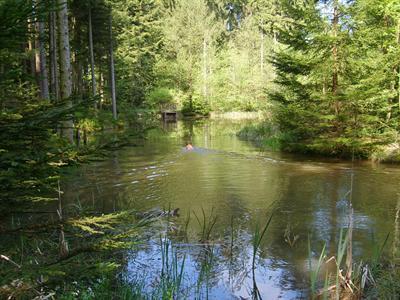 Ferienhaushotel Zur Grunen Oase