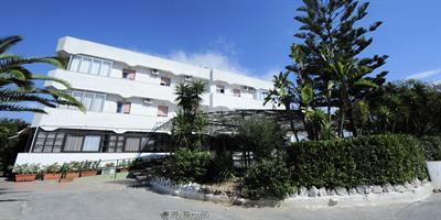 Hotel Villa Roxana