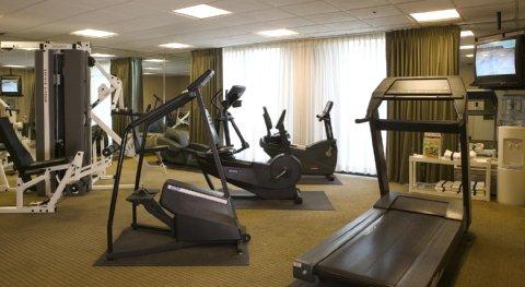 Holiday Inn Airport West Saint Louis Earth City