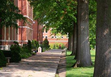 Courtyard Jackson