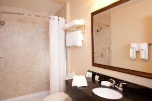 BEST WESTERN PLUS Vineyard Inn & Suites