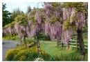 The Georgian Lodge Kerikeri