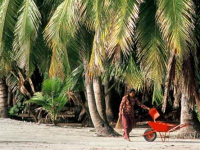 HappyLife Maldives Safari Lodge