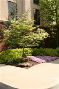 Hampton Inn & Suites Hazard