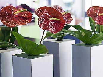 Novotel Orleans Charbonniere