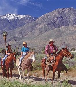 Westin Desert Willow Villas