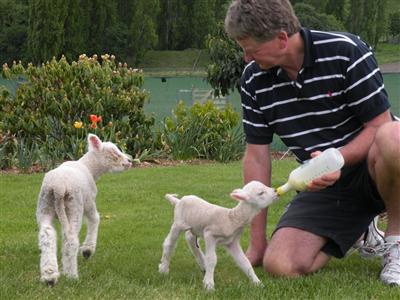 Queenstown Country Lodge