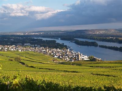 Flair Hotel Zum Baeren Rudesheim am Rhein