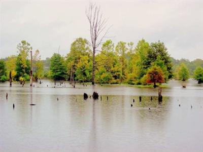 Hampton Inn Terre Haute