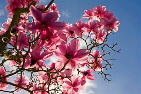 Hampton Inn Terre Haute