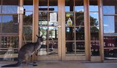 Kangaroo Island Wilderness Retreat