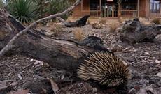 Kangaroo Island Wilderness Retreat