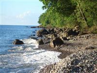 Narakiel's Inn Roseau (Dominica)