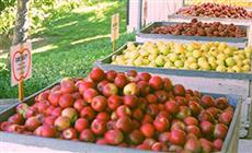 BEST WESTERN PLUS Placerville Inn