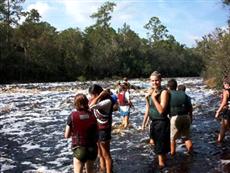 BEST WESTERN Suwannee River Inn