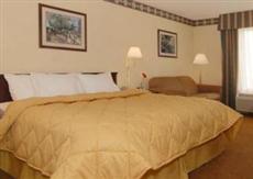 Comfort Inn Baton Rouge