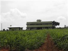 DLG Ranch DLG Ranch Mysore