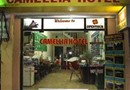 Camellia Hotel 6