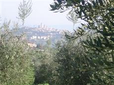 Fattoria San Donato