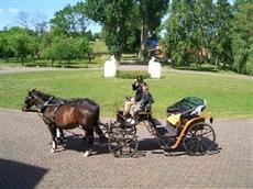 Hotel Schloss Wedendorf