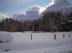 Mannoch Hill Cottage Huntly (Scotland)